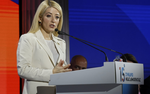 Αννίτα Δημητρίου: «Νέα Δημοκρατία και Δημοκρατικός Συναγερμός γεννήθηκαν μέσα απ' τις στάχτες των εθνικών μας δυσκολιών»