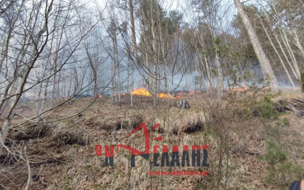 Μαίνεται έρπουσα στο μεγαλύτερο μέρος της η φωτιά στα Πιέρια Όρη