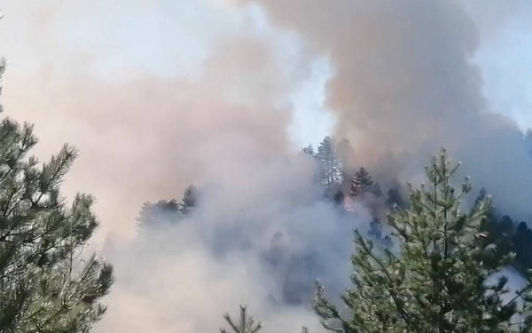 Σε εξέλιξη φωτιά σε δύσβατο σημείο στον Όλυμπο (βίντεο)