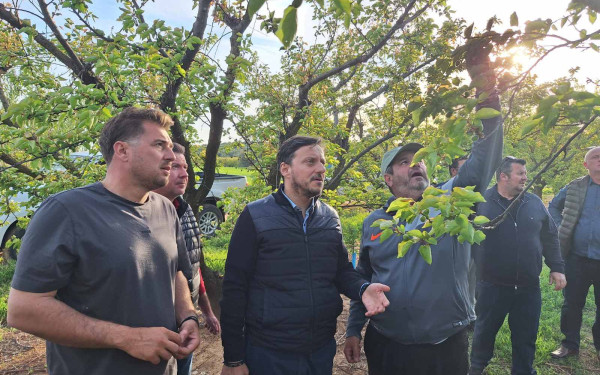 Χαλκιδική: Ερώτηση Α. Πάνα στη Βουλή για την πρωτοφανή απώλεια παραγωγής στα Βερίκοκα