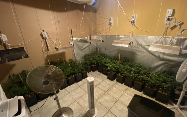 Καλύβια: Είχε μετατρέψει το σπίτι του σε εργαστήριο καλλιέργειας υδροπονικής κάνναβης