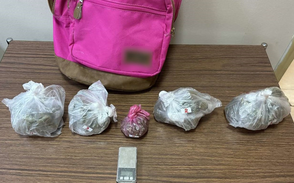 Έκρυβε στο σπίτι του 430 γραμμάρια κάνναβης και συνελήφθη