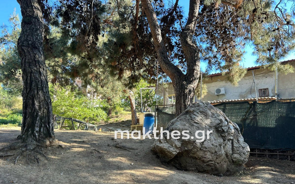 Αντιδράσεις κατοίκων στο δάσος των Μετεώρων μετά την αποκάλυψη του makthes.gr: «Δεν είμαστε καταπατητές»