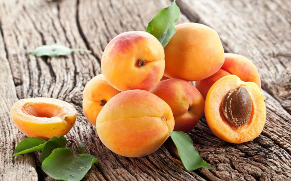 Θεσσαλονίκη: Μειωμένη 50% προβλέπεται η φετινή παραγωγή βερύκοκων λόγω κλιματικής αλλαγής