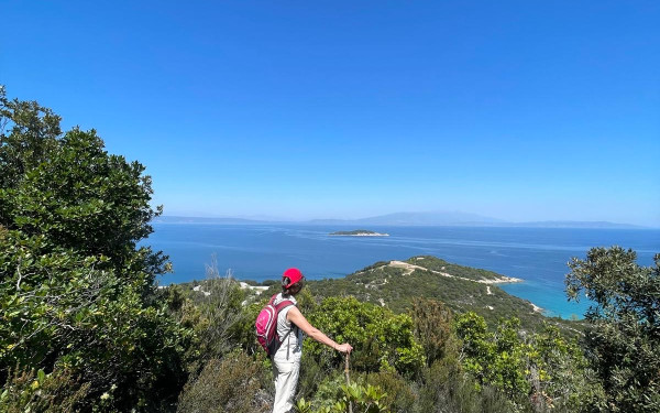 Ολλανδοί, Βέλγοι και Βάσκοι επισκέπτες στα δασικά μονοπάτια της Χαλκιδικής, με συνοδοιπόρο... τον Αριστοτέλη