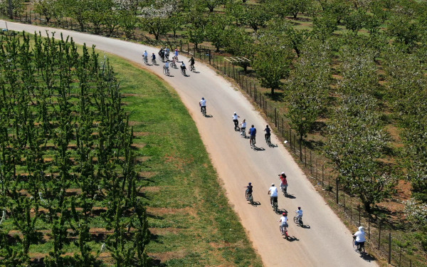 Κατερίνη: Η πιο σύγχρονη γραμμή διαλογής κερασιού στον κόσμο θα λειτουργήσει Μάιο στην Πιερία