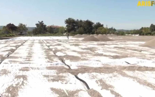 Άρης: Στην τελική ευθεία οι εργασίες για την επέκταση των εγκαταστάσεων στο Ν. Ρύσιο (βίντεο)