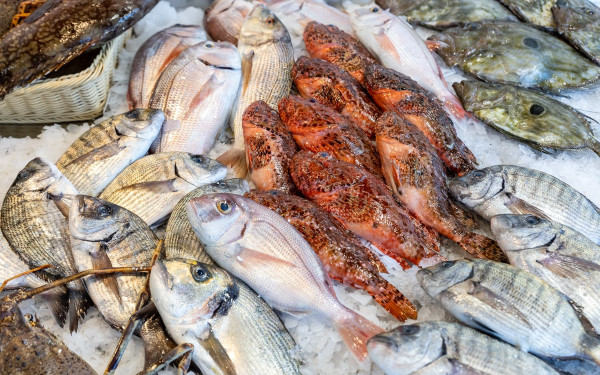 Ιχθυοπωλείο Βασίλειος Σταμίδης: Για αποκλειστικά ελληνικά ψάρια κατευθείαν από τους αλιείς