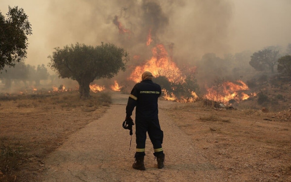 Πυρκαγιά στην Γαβριανή Αλμυρού Βόλου - Μήνυμα του 112 για απομάκρυνση των κατοίκων