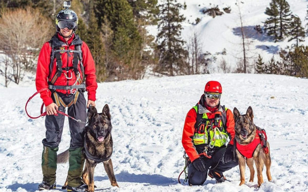 Βουλγαρία: Διεθνές σεμινάριο εκπαίδευσης για σκύλους έρευνας και διάσωσης στο Μπάνσκο