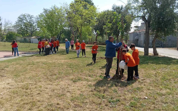 Θεσσαλονίκη: 57+1 δέντρα στη μνήμη των θυμάτων της τραγωδίας στα Τέμπη