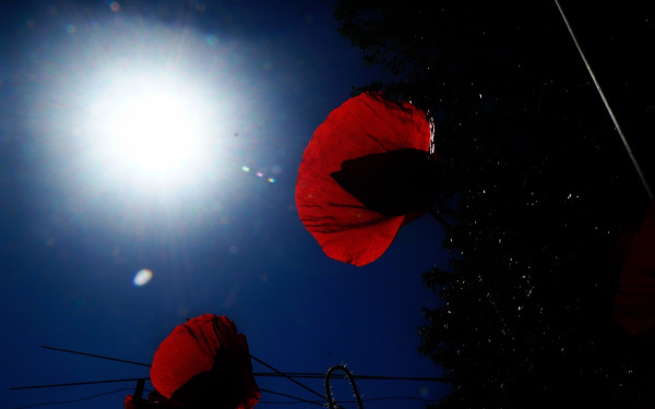 Καιρός: Συνεχίζεται ο καύσωνας στη Θεσσαλονίκη