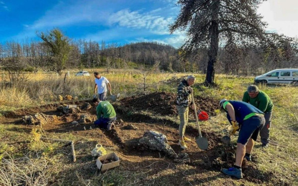 Αποκαλύφθηκε το απολιθωμένο δάσος της Κερασίας στη βόρεια Εύβοια (φωτ.)