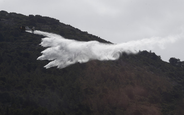 Κιλκίς: Οριοθετήθηκε η πυρκαγιά σε δασική έκταση στην περιοχή Κορώνα
