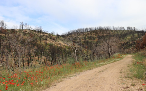Ο Σωκράτη Κεφαλογιάννης για τις ανάγκες των ορεινών δήμων