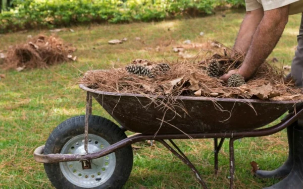 Σχεδόν 320.000 οι δηλώσεις καθαρισμών των οικοπέδων