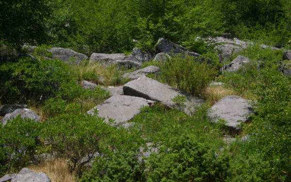 «Επιτακτική ανάγκη η διάσωση & ανάδειξη του Αρχαίου Λατομείου Μαρμάρου στα Πιέρια»