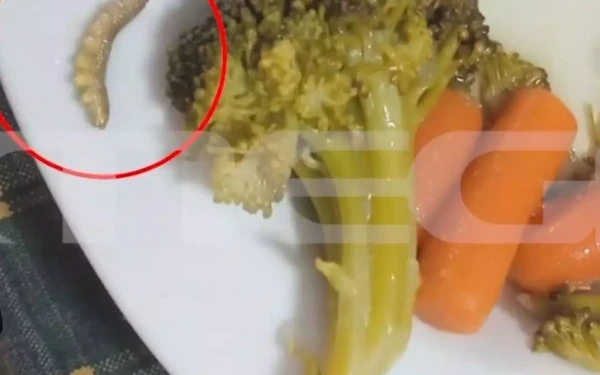 Λαμία: Σκουλήκια, τρίχες και πούπουλα στις μερίδες που μοιράζονταν στους μαθητές - Δείτε βίντεο