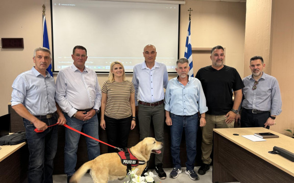 Κατερίνη: Διεθνής Έκθεση Μορφολογίας Σκύλων στο γήπεδο Παραλίας (φωτ.)