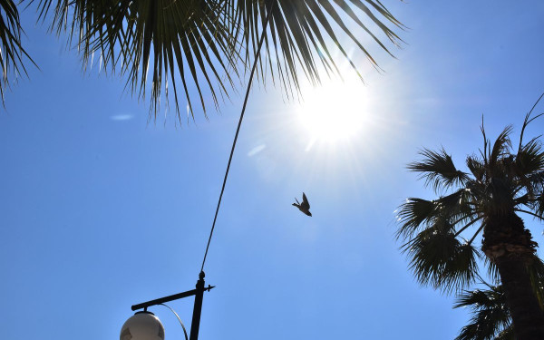 Καιρός: Non stop καύσωνας και τις επόμενες ημέρες - Τους 41 °C θα αγγίξει ο υδράργυρος σήμερα