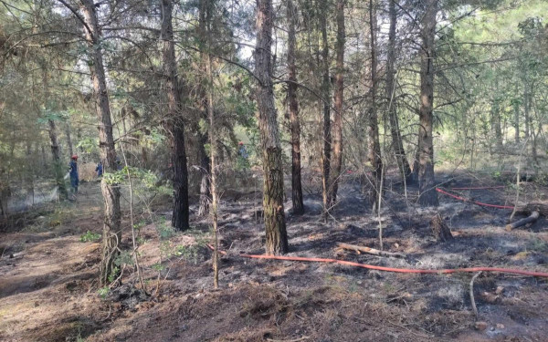 Θεσσαλονίκη: Συναγερμός για φωτιά στο Σέιχ Σου - Μία σύλληψη για εμπρησμό - Έρευνες και για συνεργούς (βίντεο - φωτ.)