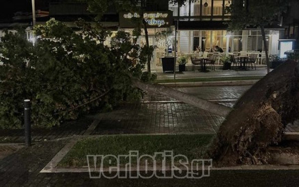 Ημαθία: Μπουρίνι έριξε δέντρα και κολώνες της ΔΕΗ στη Βέροια - Διακοπές ρεύματος σε διάφορες περιοχές (βίντεο, φωτ.)