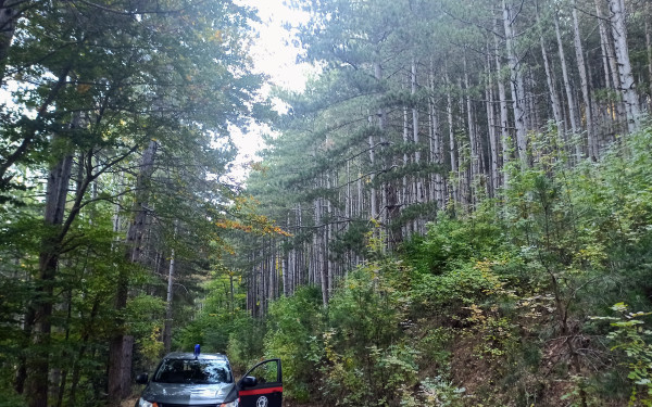 Το Δασαρχείο θωρακίζει τα δάση της Θεσσαλονίκης