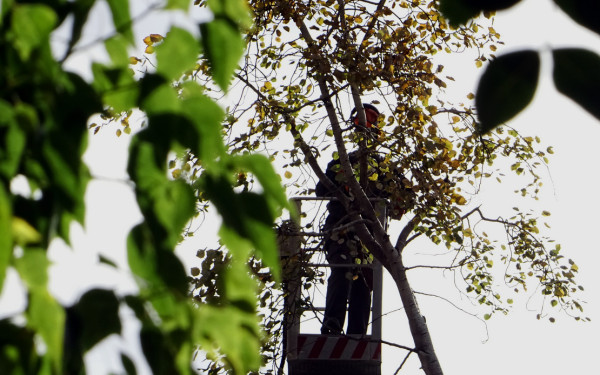 Ακίνητα: Το μπάχαλο με την πυροπροστασία έφερε «κούρεμα» στα μέτρα