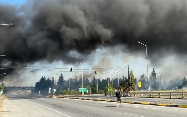 Λάρισα: Δασική πυρκαγιά στον Άγιο Θωμά - Μήνυμα του 112 για απομάκρυνση των κατοίκων