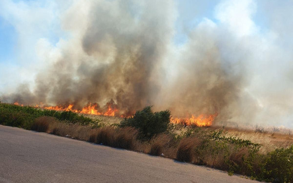 Οριοθετήθηκε η φωτιά στο Μαρκόπουλο Αττικής