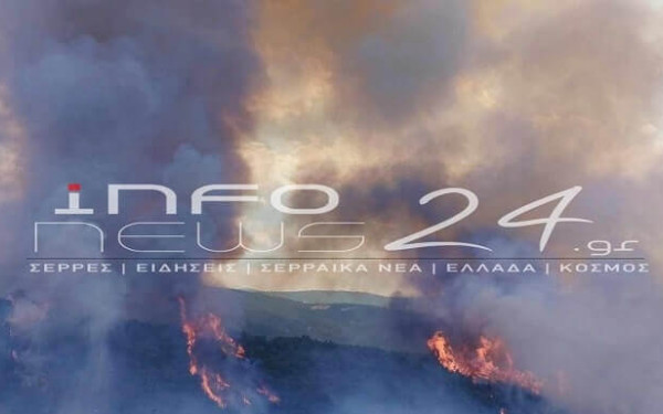 Φωτιά στις Σέρρες: Υπό μερικό έλεγχο οι φλόγες που καίνε αγροτοδασική έκταση στη Νιγρίτα (βίντεο, φωτ.)