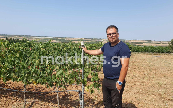 Γιώργος Γρηγοριάδης: Ο οινοποιός που έφερε τη Barbera στην Ελλάδα και στη Χαλκιδική