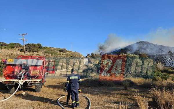 Ξέσπασε πυρκαγιά στη Μήλο - Εκκενώθηκε παραλία μετά από μήνυμα του 112 (βίντεο)