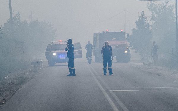 Ιωάννινα: Υπό μερικό έλεγχο η πυρκαγιά σε δασική έκταση στην Δροσοπηγή