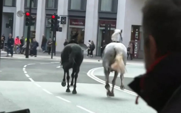 Αναστάτωση στο κέντρο του Λονδίνου: Άλογα του στρατού έτρεχαν πανικόβλητα