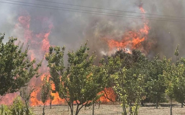 Φωτιά στην Κω - Ενισχύθηκαν οι δυνάμεις της Πυροσβεστικής
