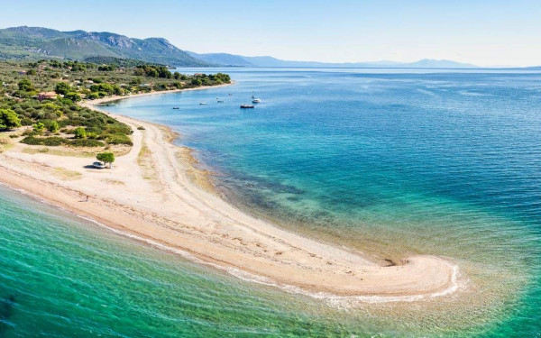 «Thessaly & Evros Pass 2024»: Ανοίγει σήμερα η πλατφόρμα για αιτήσεις - Οι προϋποθέσεις και τα ποσά