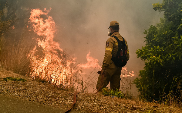MedFireWise: Η φύση γίνεται σύμμαχος στην πρόληψη των δασικών πυρκαγιών