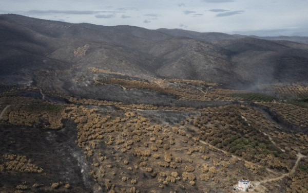 Αλεξανδρούπολη: Η συμβολή του Δημοκρίτειου Πανεπιστήμιου Θράκης στην προσπάθεια ανασυγκρότησης του Έβρου