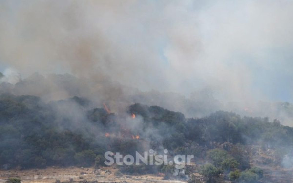 Λέσβος: Υπό έλεγχο η πυρκαγιά στον Μανταμάδο (βίντεο)