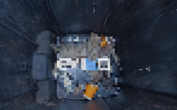 Φρίκη στην Εύβοια: Σκότωσαν μικρά γατάκια και τα πέταξαν σε κάδο σκουπιδιών