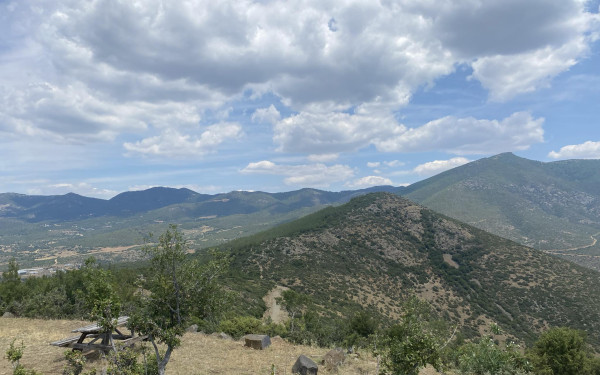 Θεσσαλονίκη: Μία από τις μεγαλύτερες αναδασώσεις πανελλαδικά θα γίνει στον δήμο Θέρμης