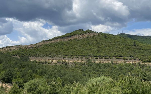 Χαλκιδική: Δημιουργία Αντιπυρικών Ζωνών στον Δήμο Πολυγύρου