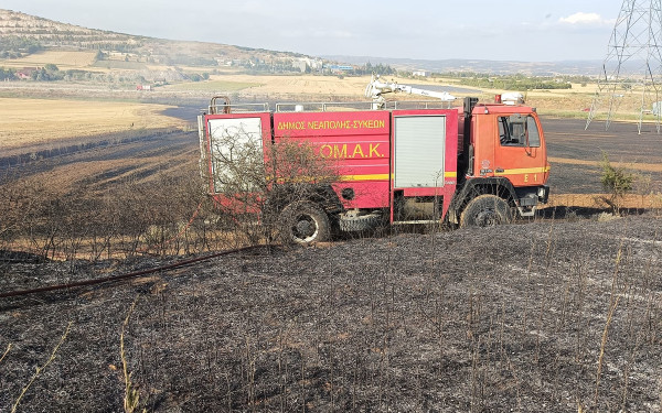 Καθημερινές περιπολίες στο Σέιχ Σου από τον Δήμο Νεάπολης - Συκεών