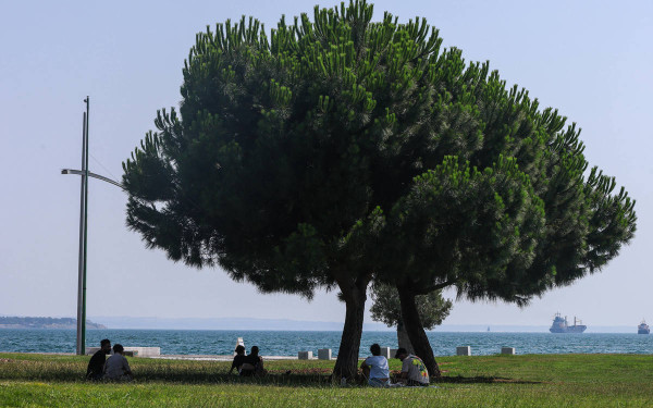 Πώς μπορεί να θωρακιστεί στον καύσωνα η Θεσσαλονίκη
