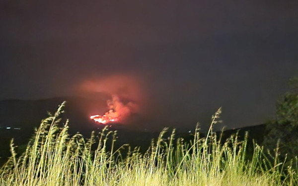 Πυροσβεστική: 36 πυρκαγιές το τελευταίο 24ωρο