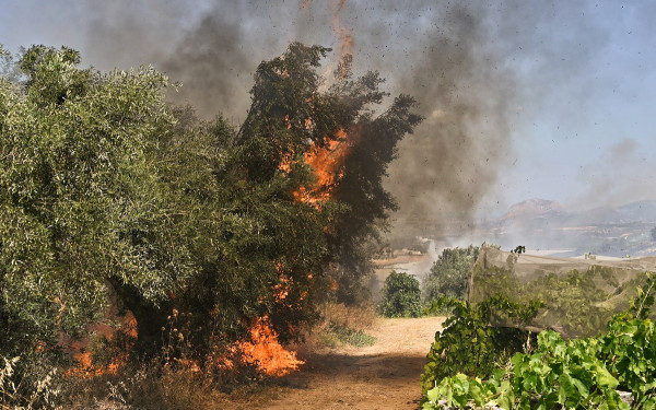 Ροδόπη: Στις αυλές σπιτιών η φωτιά στα Αμπελάκια - Ήχησε το 112