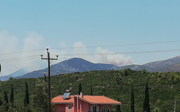 Φωτιά σε δασική έκταση στις Ερυθρές Αττικής - Εκκενώθηκε παιδική κατασκήνωση (βίντεο)