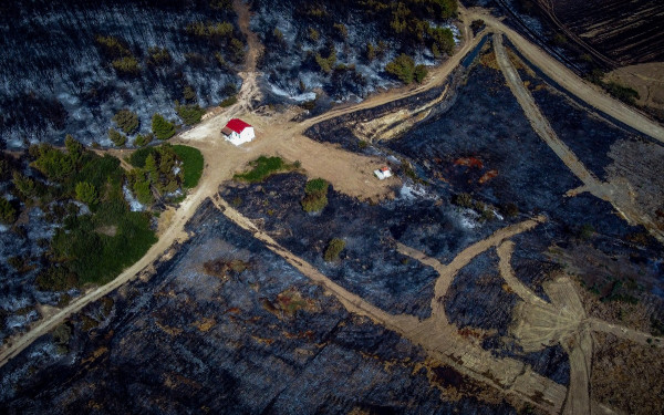 Εύβοια: Την κήρυξη σε κατάσταση έκτακτης ανάγκης για το Αφράτι και τα Φύλλα αιτήθηκε η Δήμαρχος Χαλκιδέων