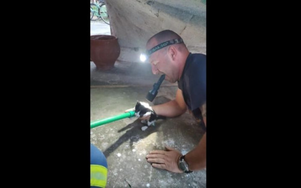 Τρίκαλα: Πυροσβέστες βοήθησαν στον δύσκολο απεγκλωβισμό ενός γατιού που έπεσε σε βόθρο (βίντεο)